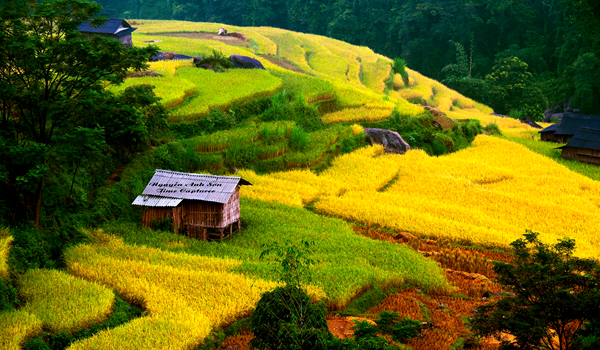 Sapa Tours