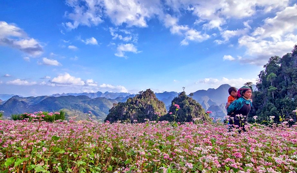 Ha Giang Tours