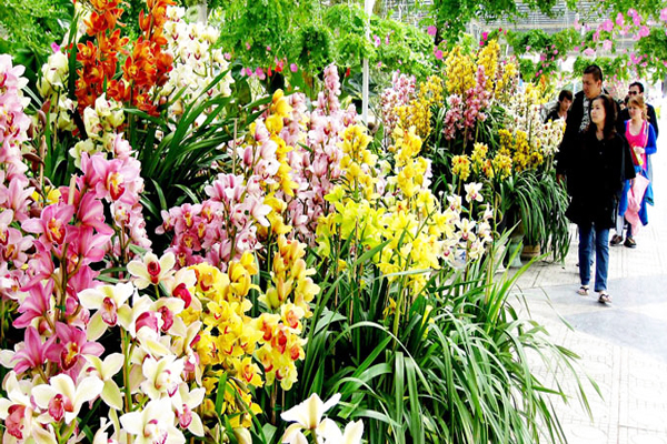 HOA ĐÀ LẠT - KẾT TINH KỲ DIỆU TỪ ĐẤT LÀNH