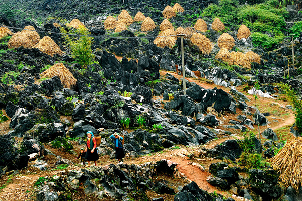 DU LỊCH HÀ GIANG - ĐỒNG VĂN  - LŨNG CÚ  - MÈO VẠC 