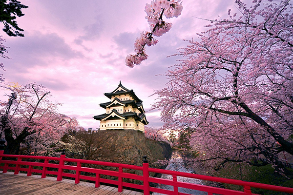 HÀ NỘI  - TOKYO - HAKONE - NÚI PHÚ SĨ  