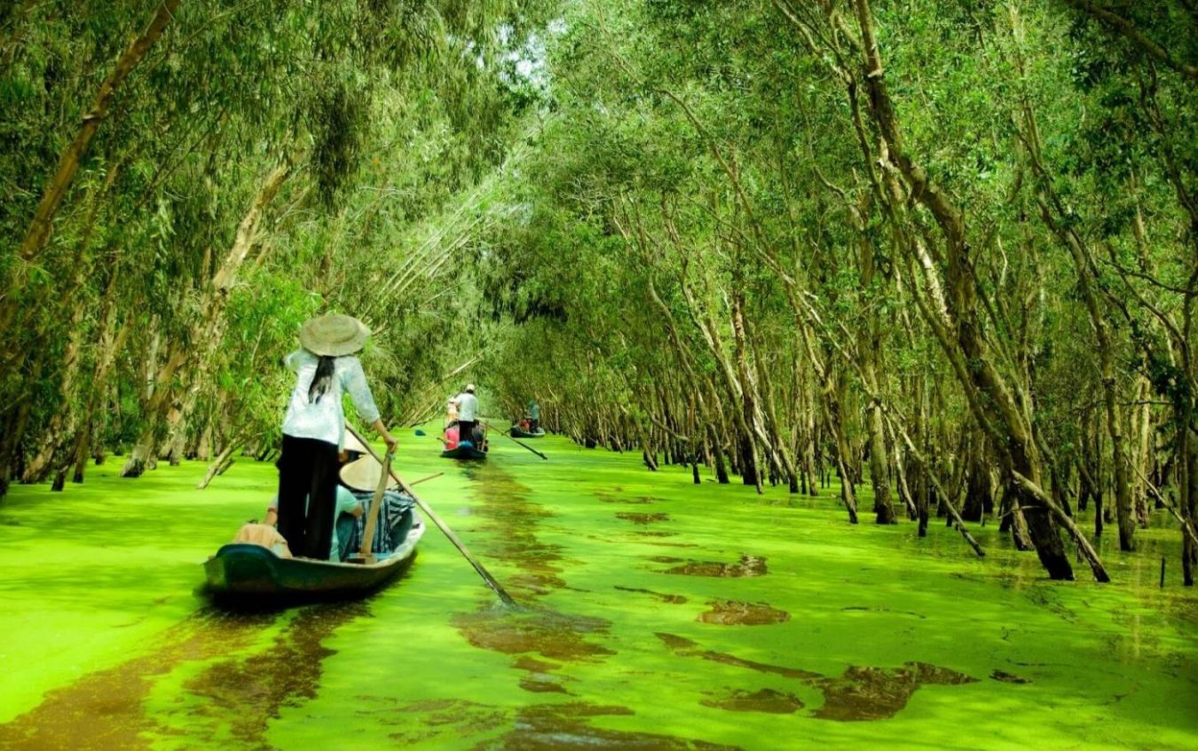 GIỚI THIỆU VỀ RỪNG TRÀM TRÀ SƯ