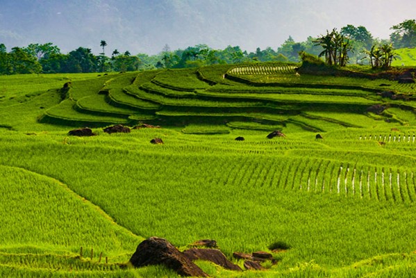 COMBO HÀ NỘI - PÙ LUÔNG